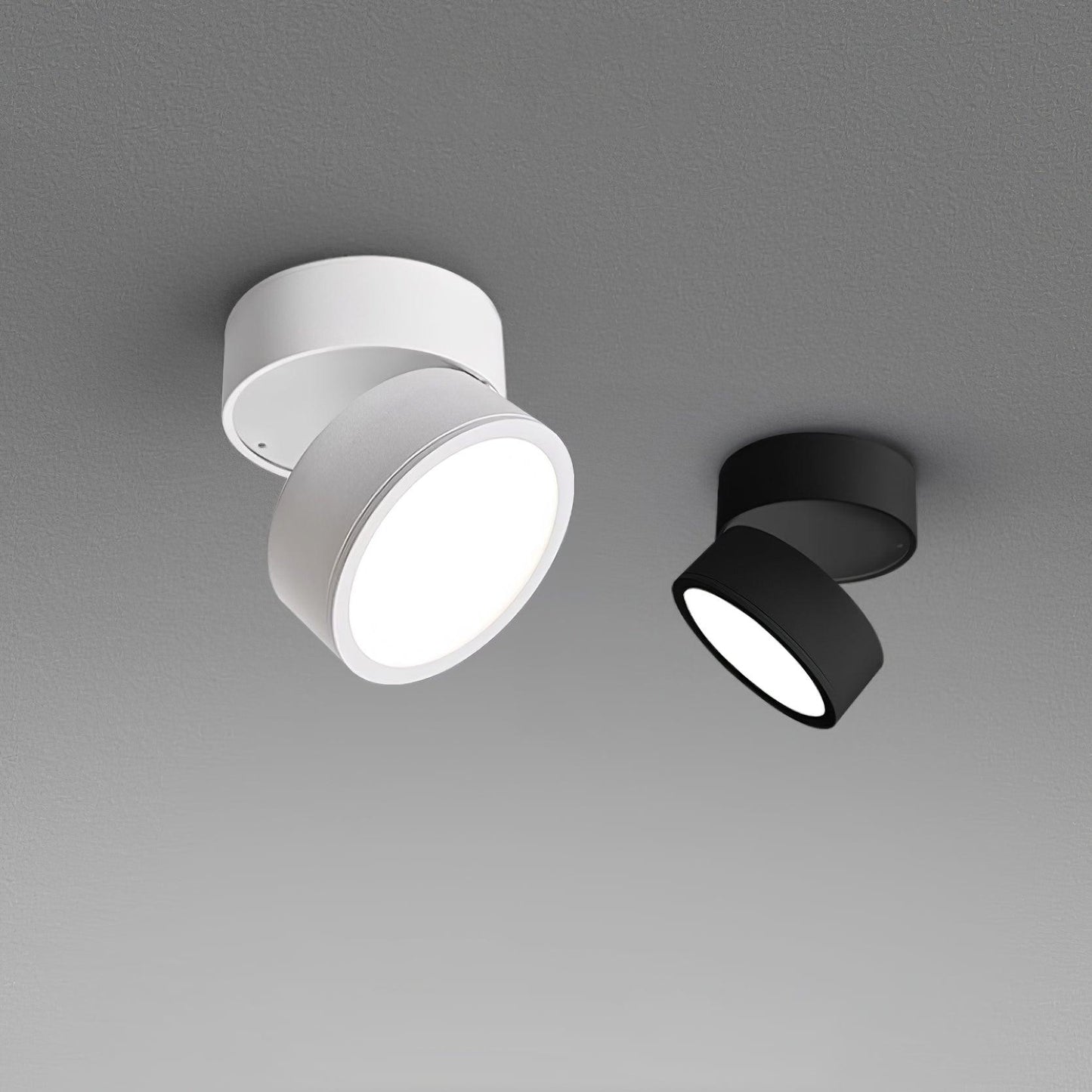 (2 pack) Surface Ceiling Light