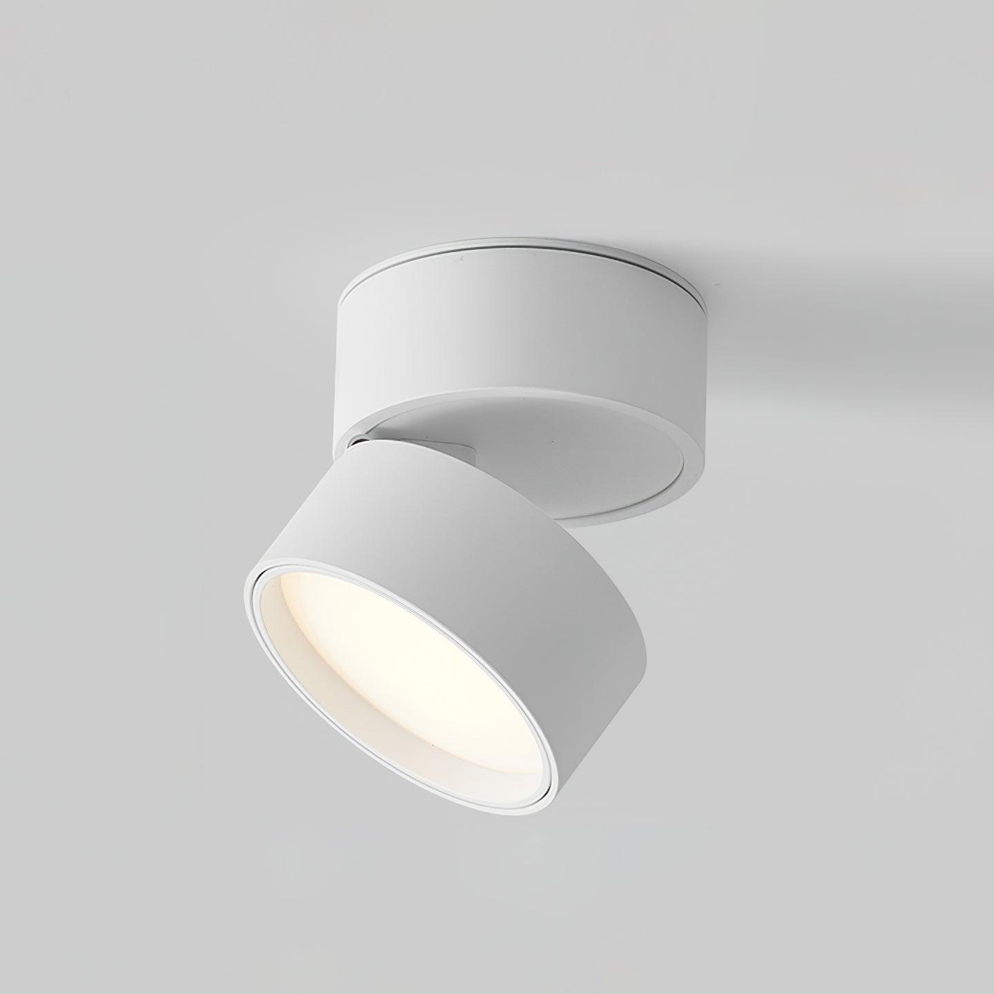 (2 pack) Surface Ceiling Light