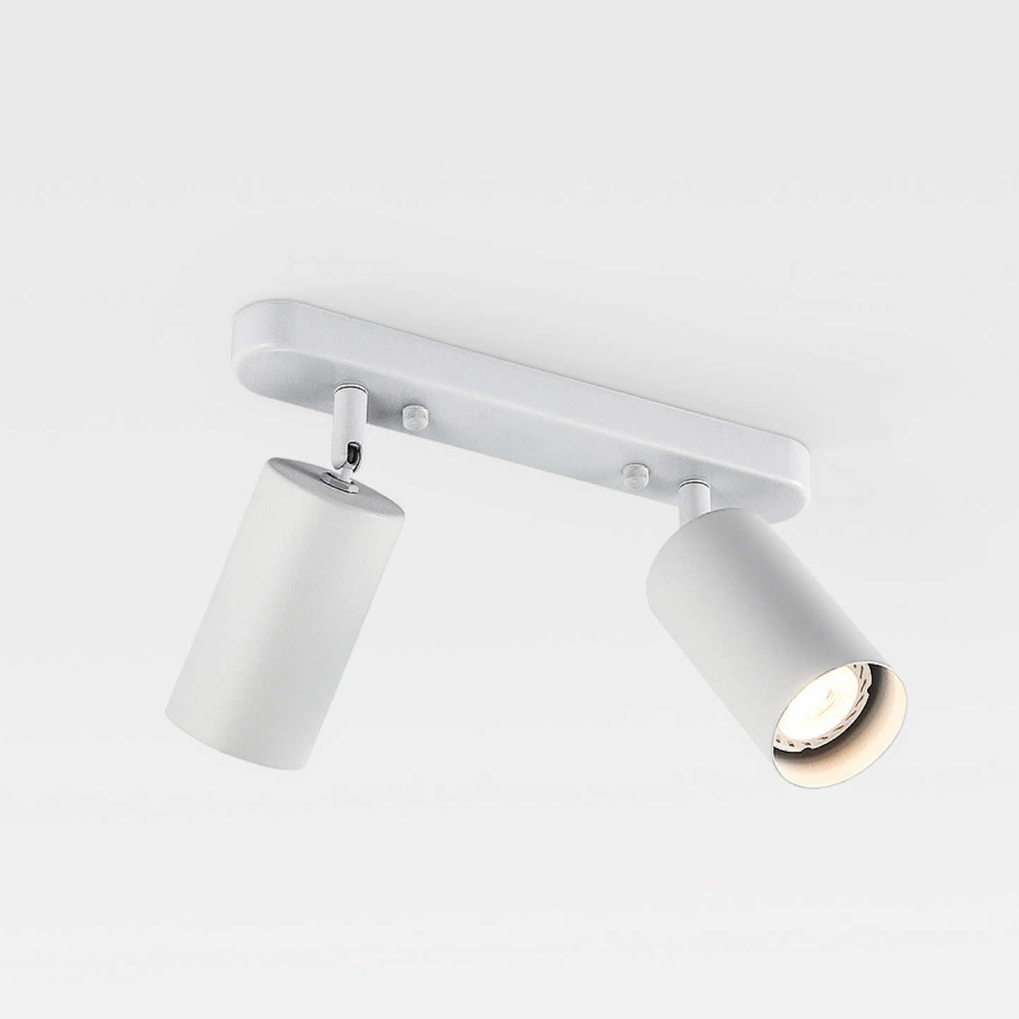 Rotatable 2 Head Spot Ceiling Light